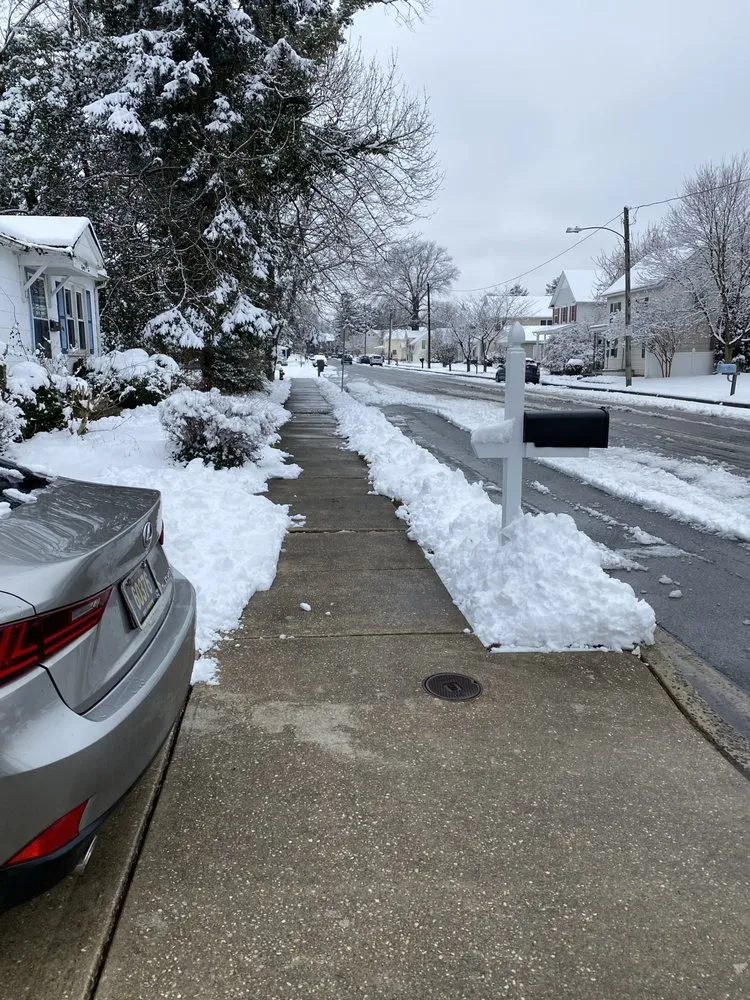 Reliable yard cleanup service in Dover, DE - T&D Lawn & Home Maintenance