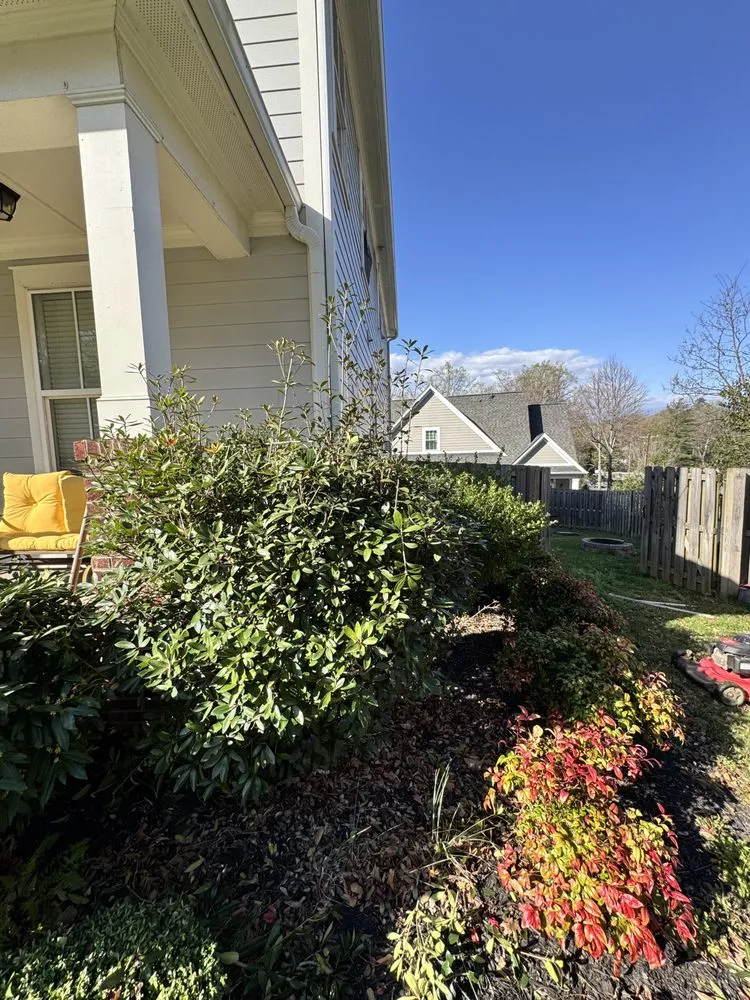 Trusted landscape design experts serving Greenville, SC - TD Lawn Service