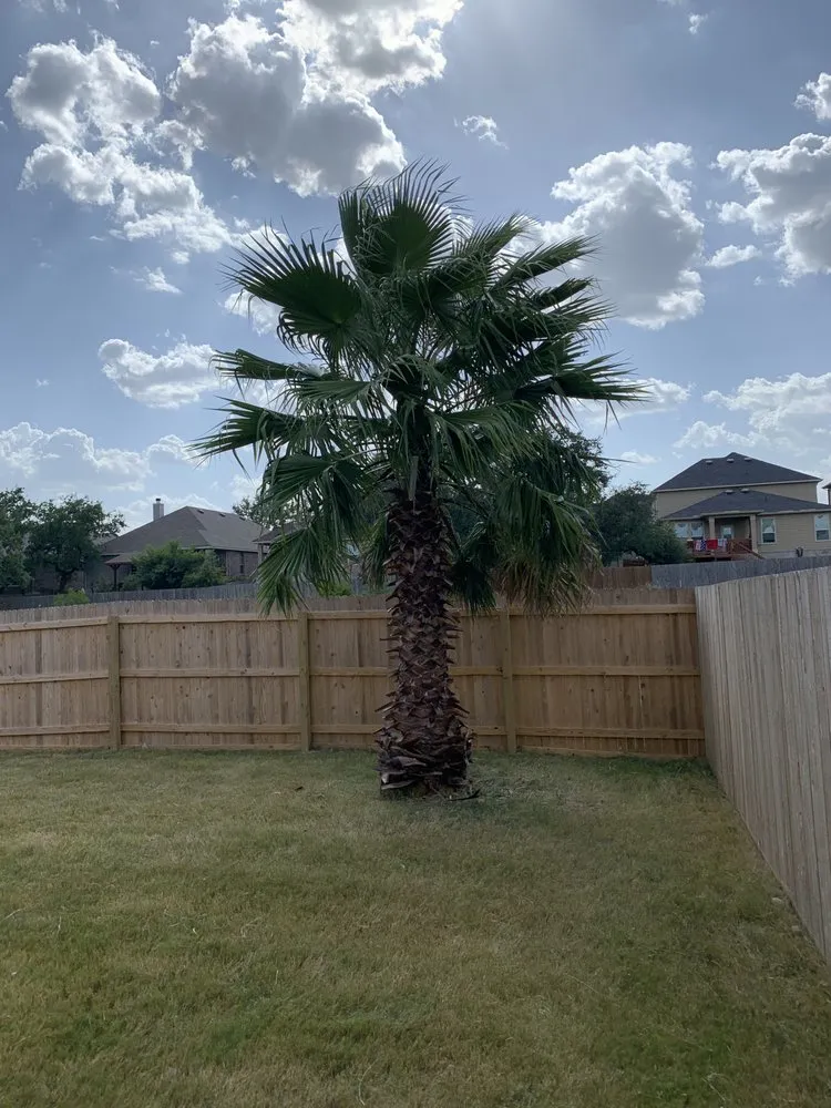 Custom residential landscaping experts serving Helotes, TX - TD Lawn Services