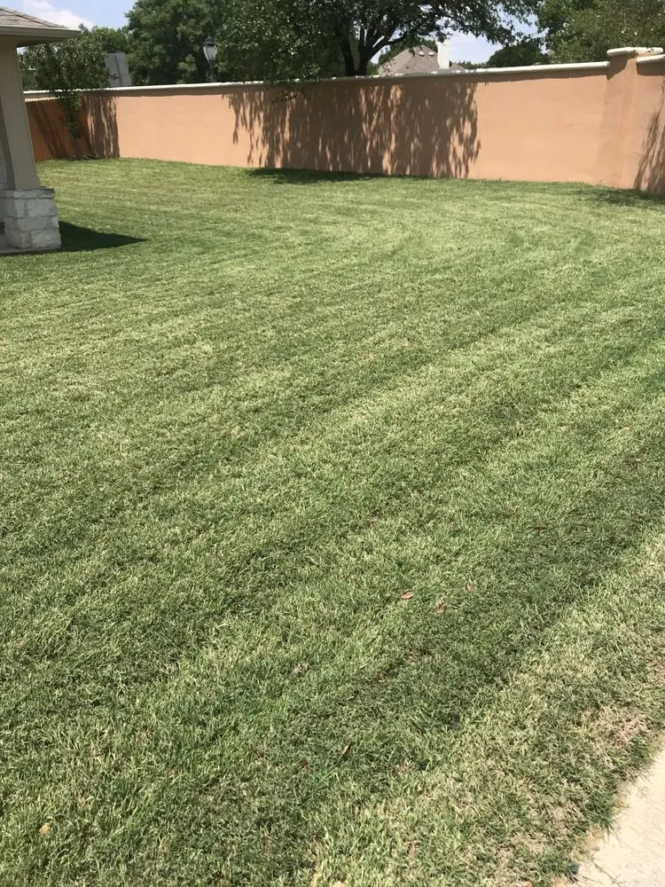 Affordable yard cleanup service in Helotes, TX - TD Lawn Services