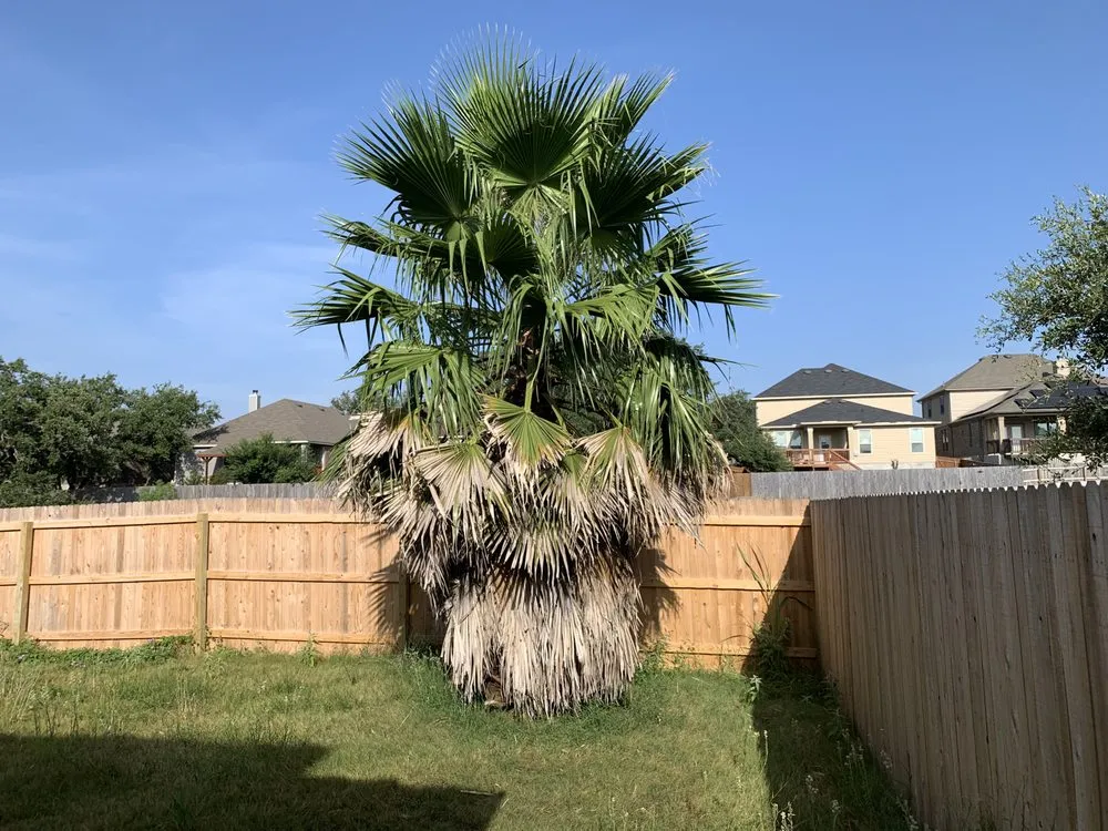 Affordable residential landscaping for beautiful yards across Helotes, TX - TD Lawn Services