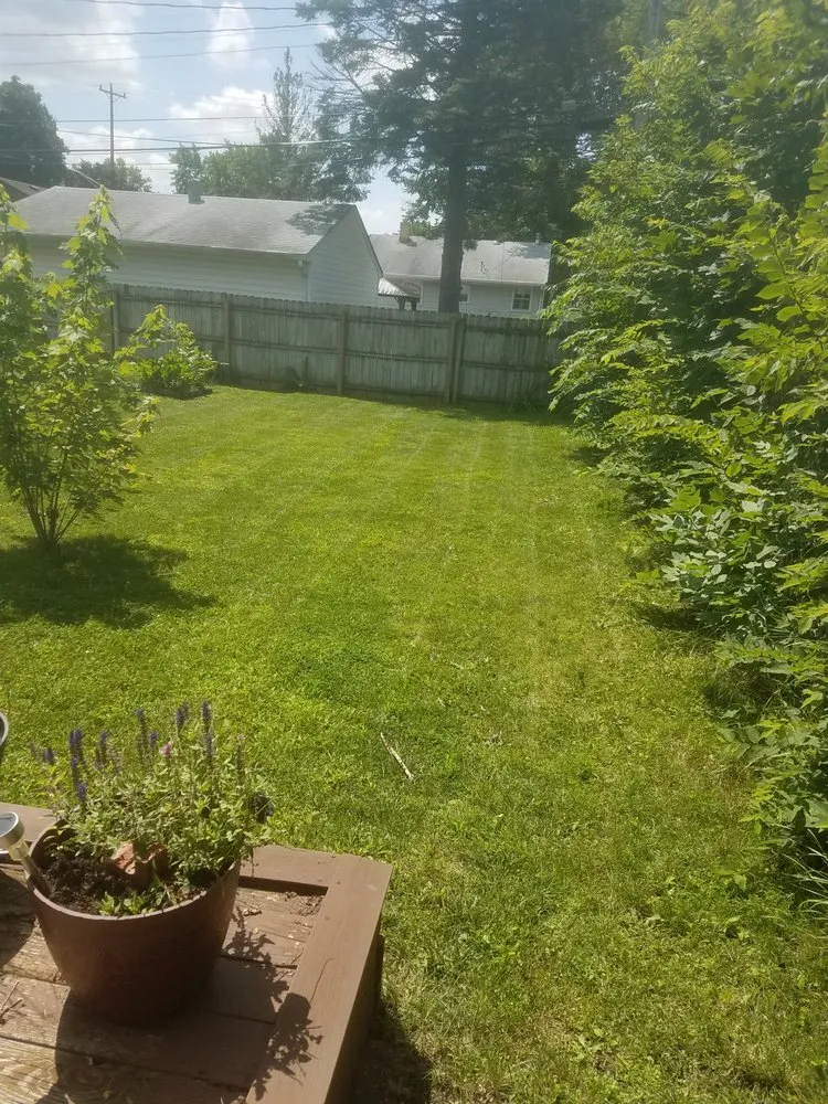 Custom yard maintenance in Rockford, IL - T&D Lawn Services