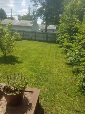 T&D Lawn Services Logo