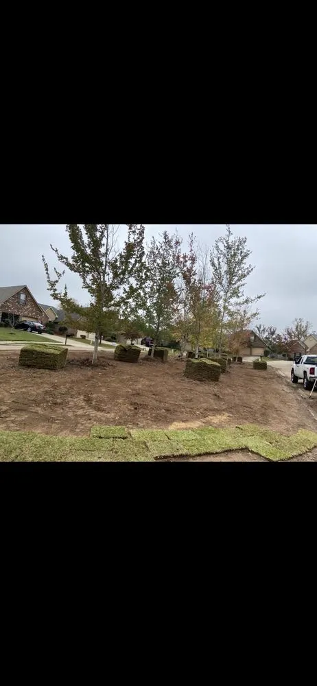 Local lawn mowing service for beautiful yards in Madison, MS by T&D Lawns