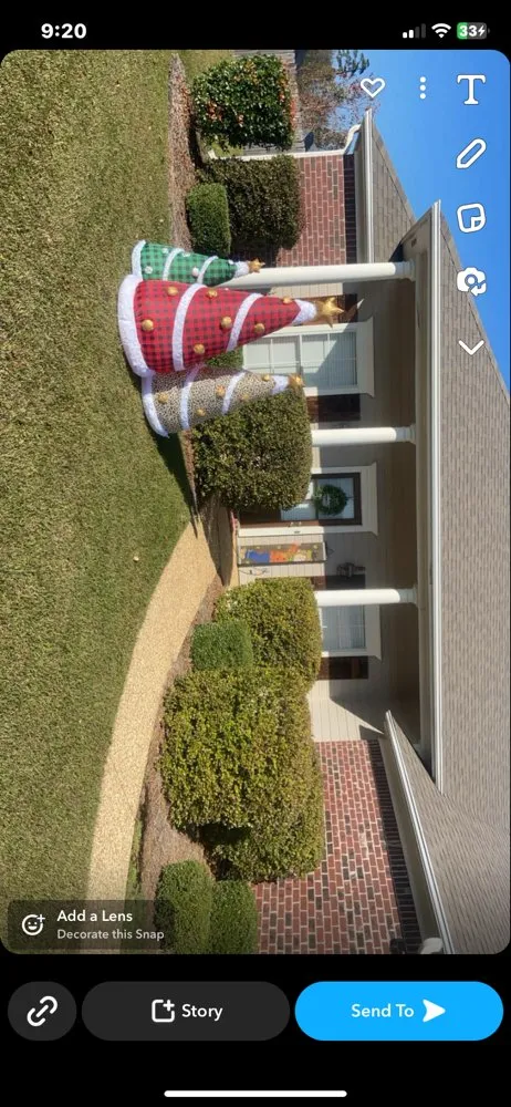 Top-rated landscape design in Madison, MS - T&D Lawns