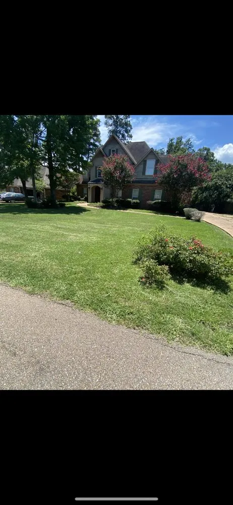 Top-rated lawn care service experts serving Madison, MS - T&D Lawns