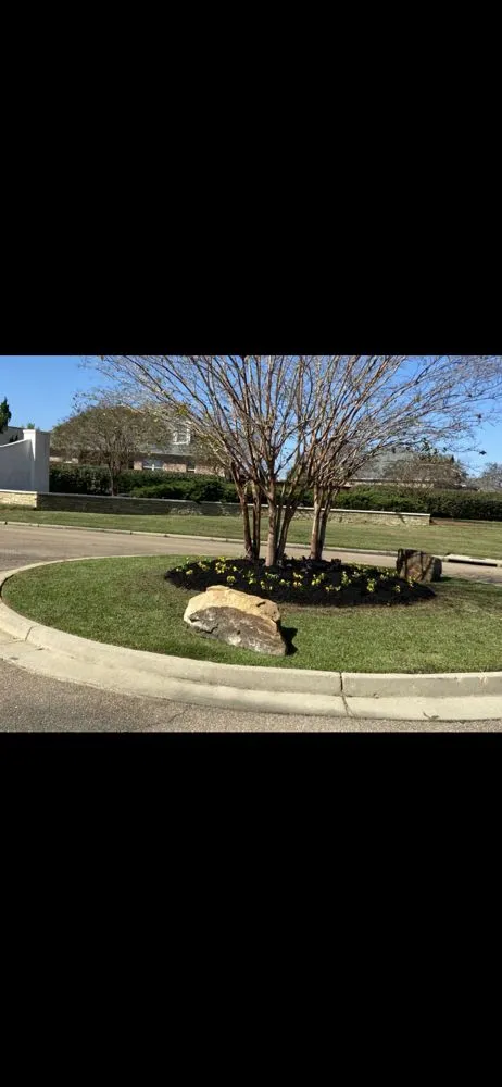 Affordable lawn care service for residential properties across Madison, MS - T&D Lawns