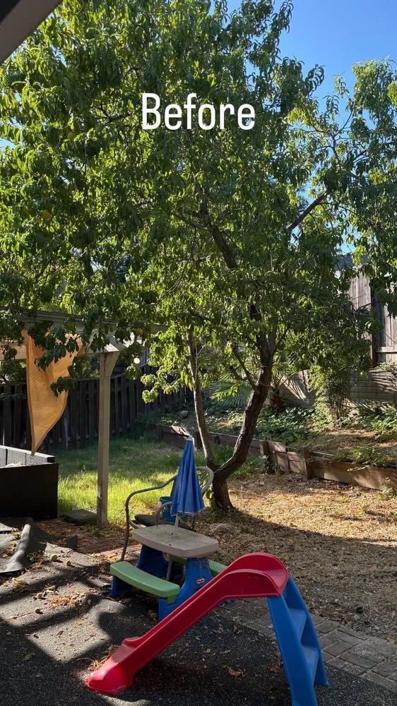 Reliable landscape installation in Elk Grove, CA by TD Professional Landscaping