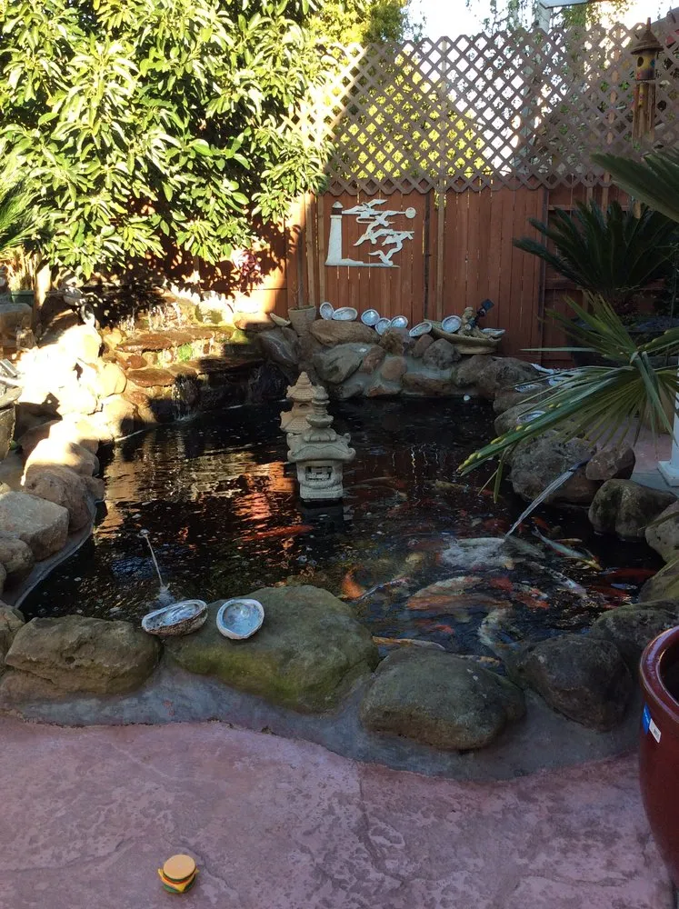 Local lawn care service in Elk Grove, CA by TD Professional Landscaping