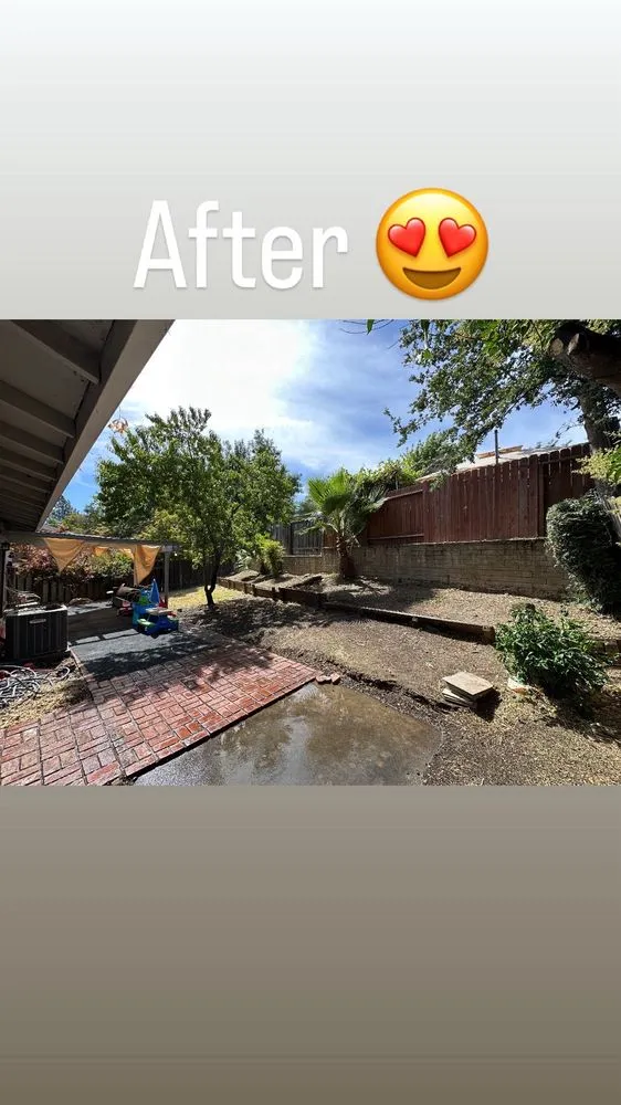 Affordable yard maintenance in Elk Grove, CA - TD Professional Landscaping
