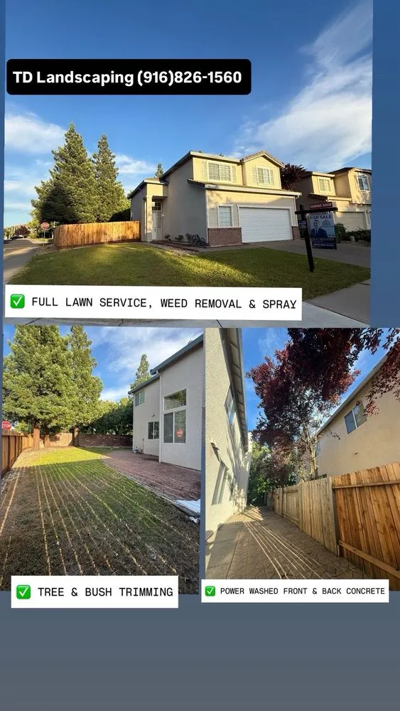 Professional garden landscaping in Elk Grove, CA by TD Professional Landscaping