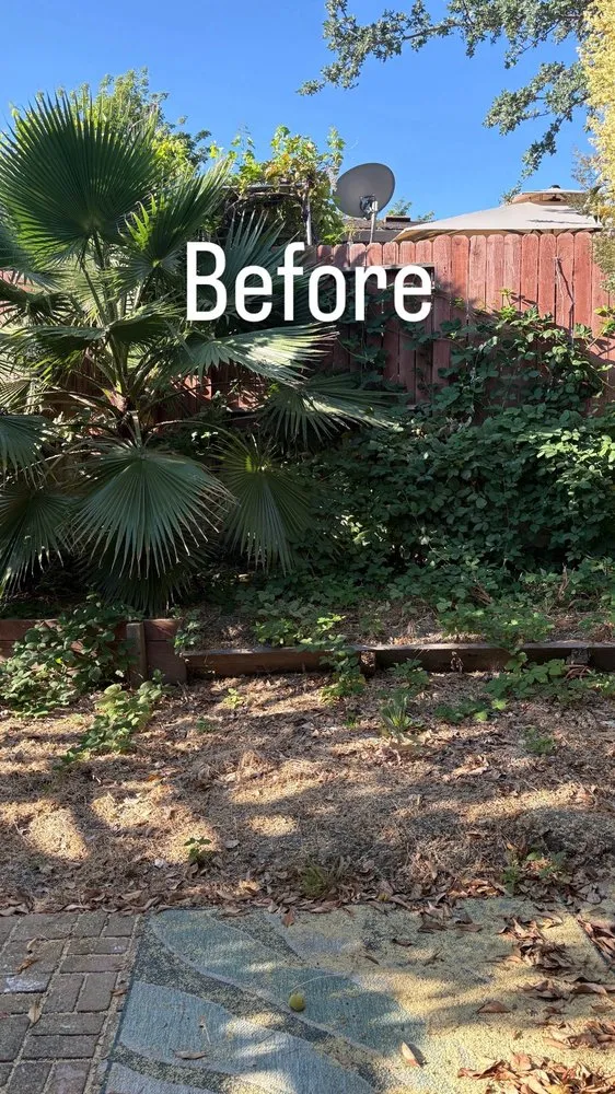 Trusted residential landscaping in Elk Grove, CA by TD Professional Landscaping