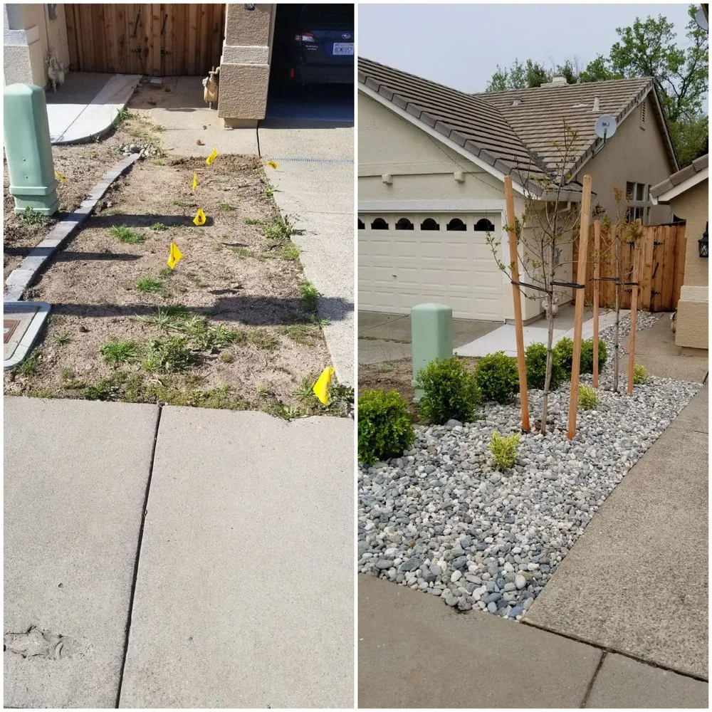 Trusted outdoor landscaping experts serving Elk Grove, CA - TD Professional Landscaping