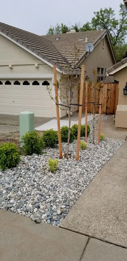 Top-rated lawn mowing service in Elk Grove, CA - TD Professional Landscaping