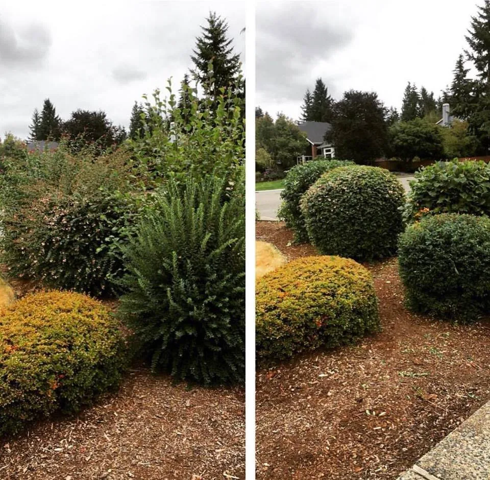 Top-rated outdoor landscaping experts serving Renton, WA - T&D Professional Services