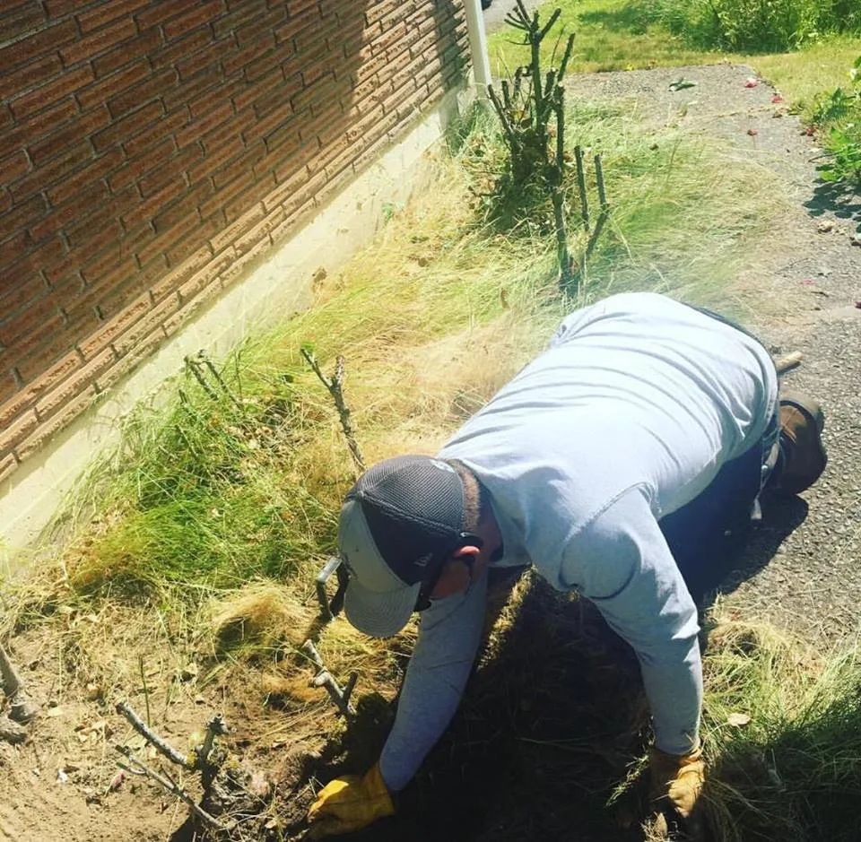 Top-rated garden landscaping in Renton, WA - T&D Professional Services