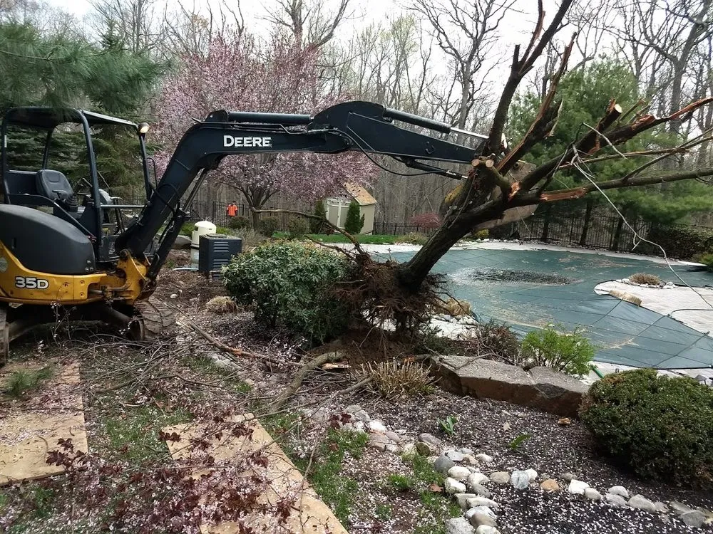Top-rated landscape installation for homes across Bridgewater Township, NJ - TD Services