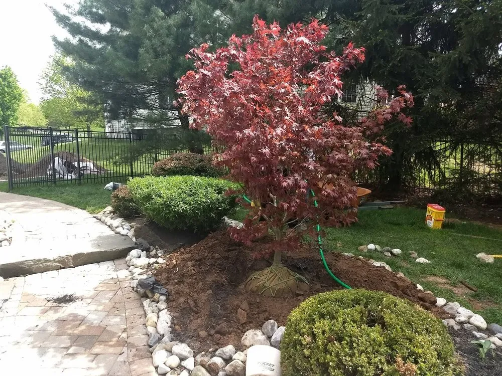 Top-rated lawn mowing service near you in Bridgewater Township, NJ by TD Services