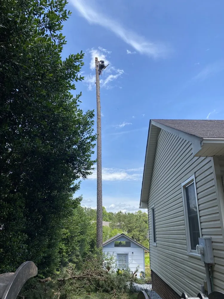 Professional landscape design in Greenwood, SC by TD TREE AND CONCRETE