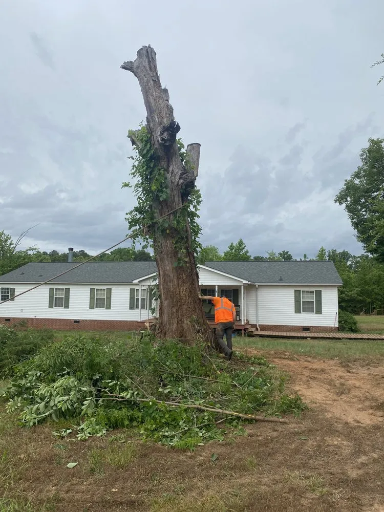 Reliable garden landscaping in Greenwood, SC - TD TREE AND CONCRETE