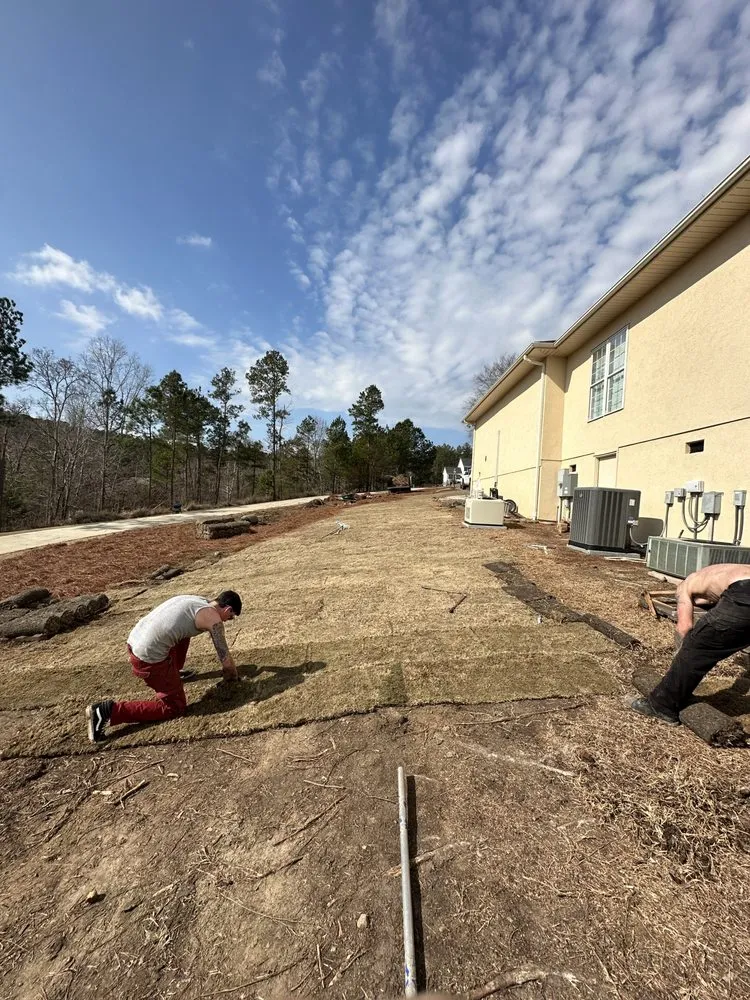 Local landscape design in Greenwood, SC by TD TREE AND CONCRETE