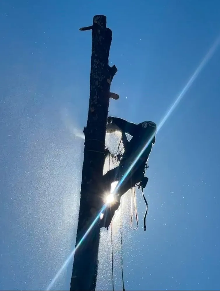 Trusted garden landscaping with custom design across Greenwood, SC - TD TREE AND CONCRETE