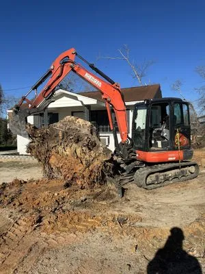 TD TREE AND CONCRETE Logo