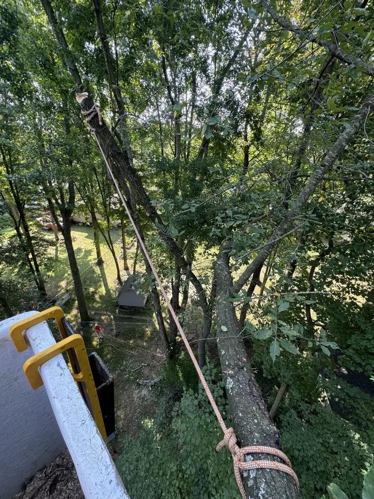 Top-rated outdoor landscaping in Hubbard, OH - T&D Tree Service