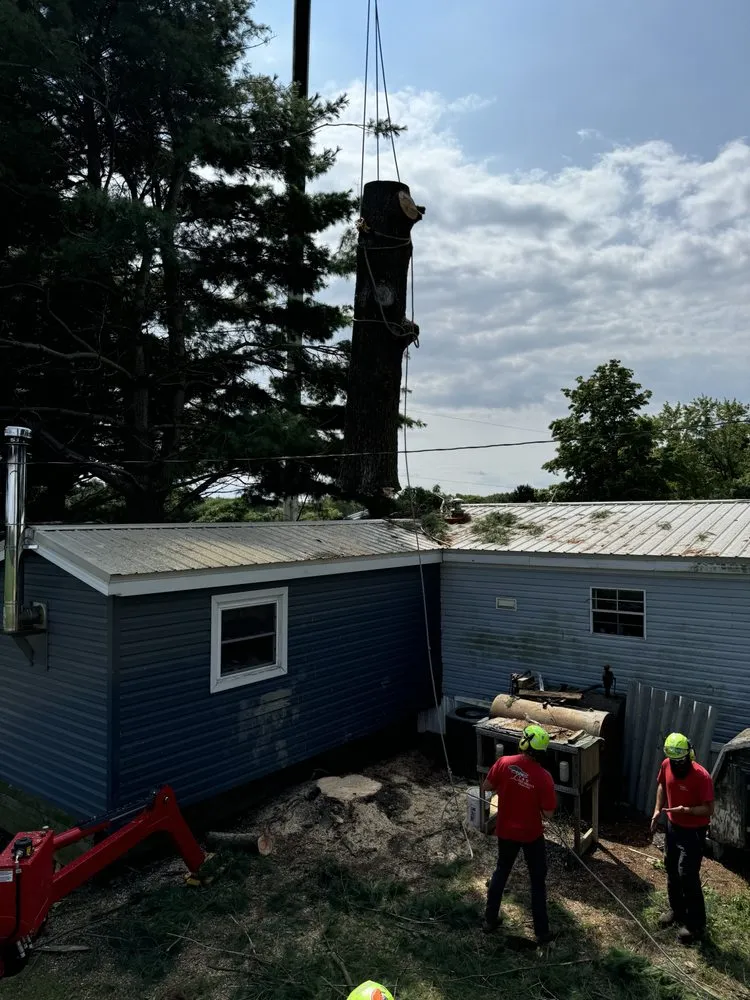 Custom landscape installation in Hubbard, OH by T&D Tree Service