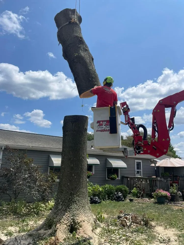 Local outdoor landscaping for beautiful yards across Hubbard, OH - T&D Tree Service