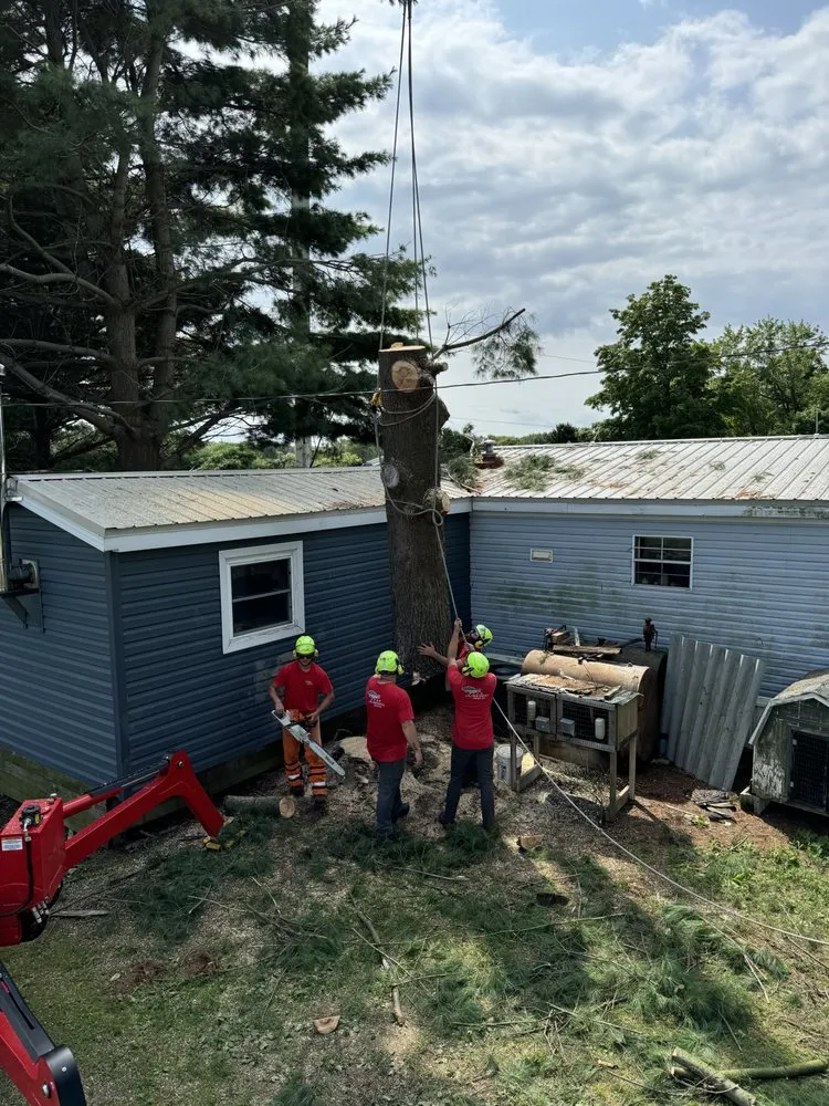 Trusted lawn care service experts serving Hubbard, OH - T&D Tree Service