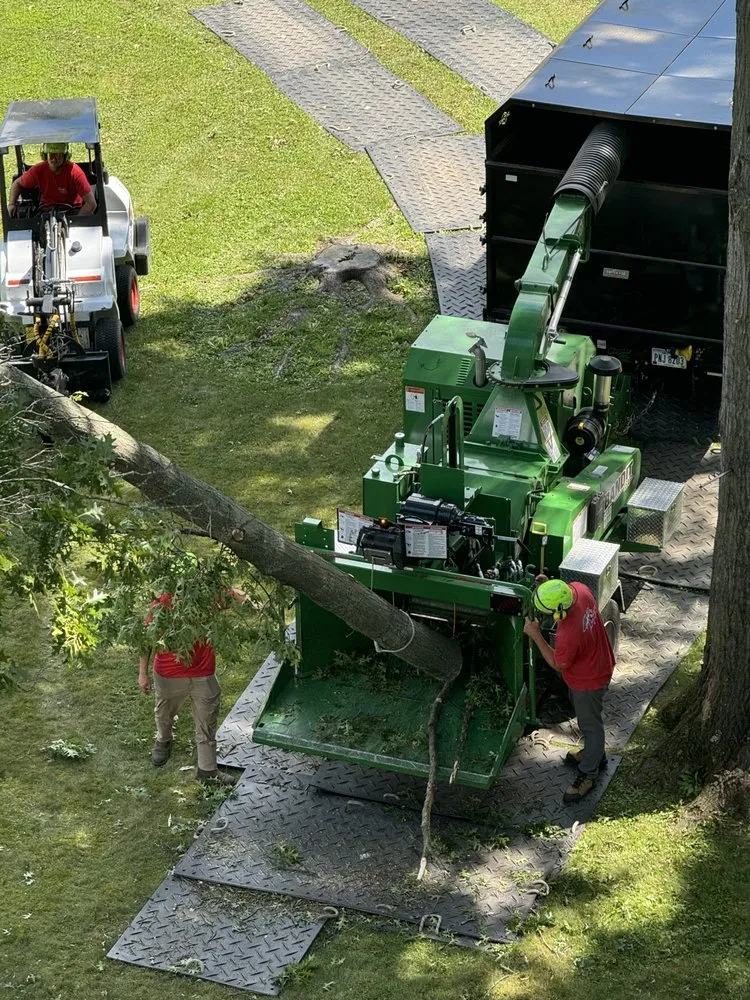 Reliable residential landscaping experts serving Hubbard, OH - T&D Tree Service