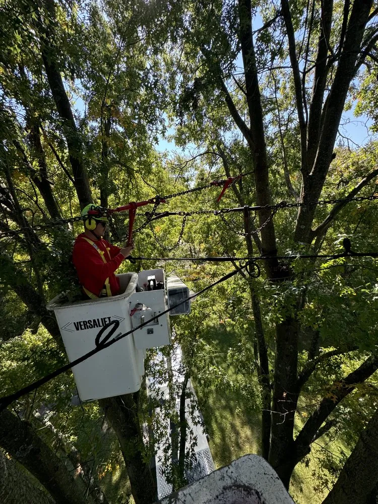 Top-rated residential landscaping in Hubbard, OH by T&D Tree Service