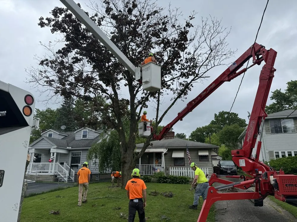 Local residential landscaping for outdoor upgrades across Hubbard, OH - T&D Tree Service