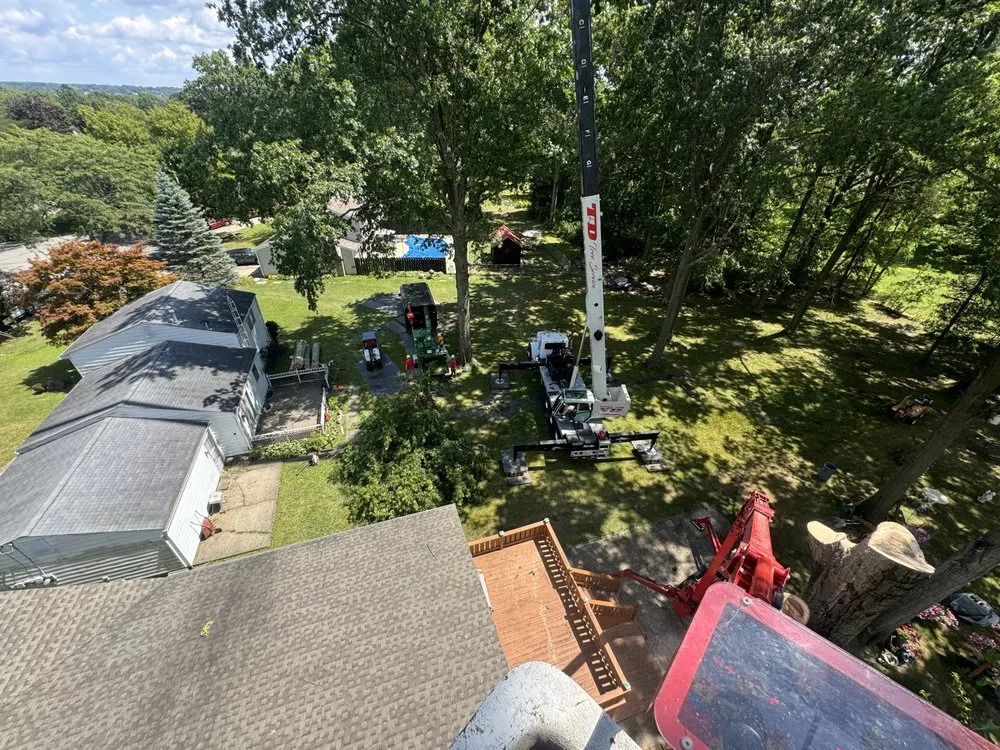 Affordable outdoor landscaping in Hubbard, OH - T&D Tree Service