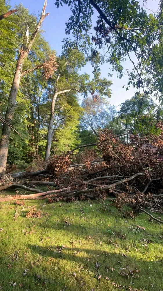 Affordable lawn care service in Hubbard, OH - T&D Tree Service