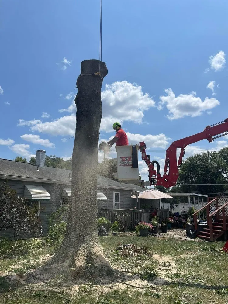 Expert lawn mowing service in Hubbard, OH - T&D Tree Service