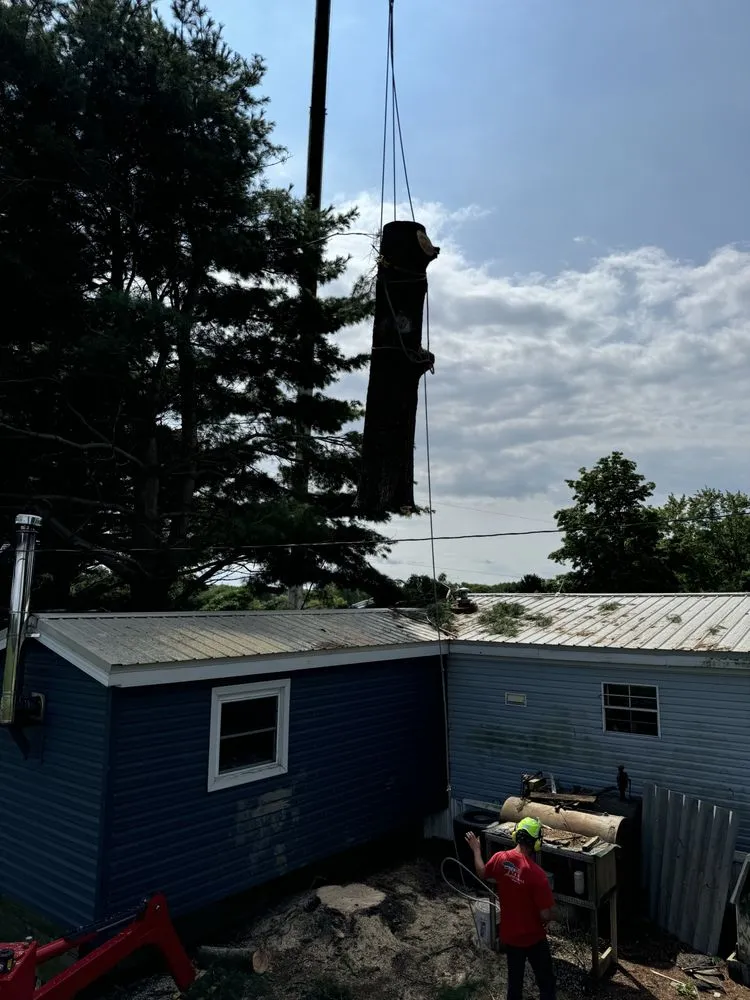 Local residential landscaping experts serving Hubbard, OH - T&D Tree Service