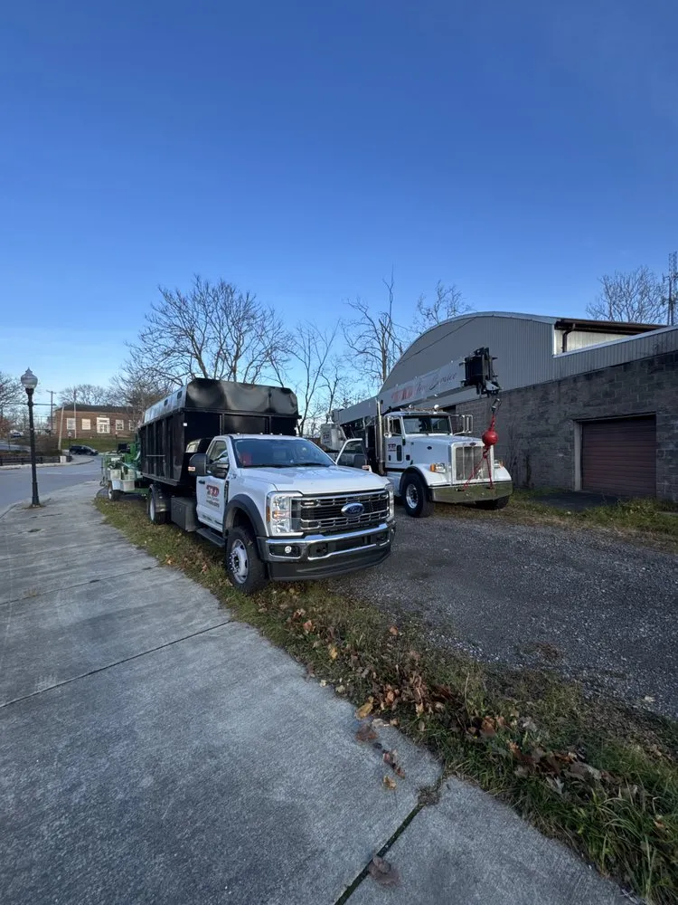 Expert lawn care service in Hubbard, OH by T&D Tree Service