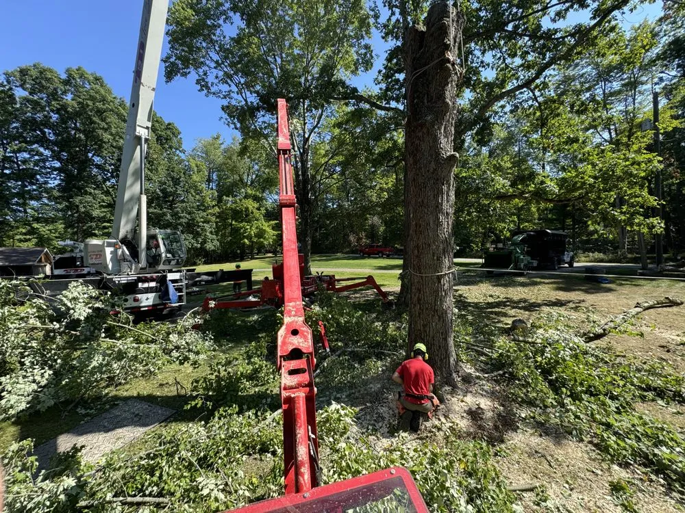 Trusted landscape design for year-round maintenance across Hubbard, OH - T&D Tree Service