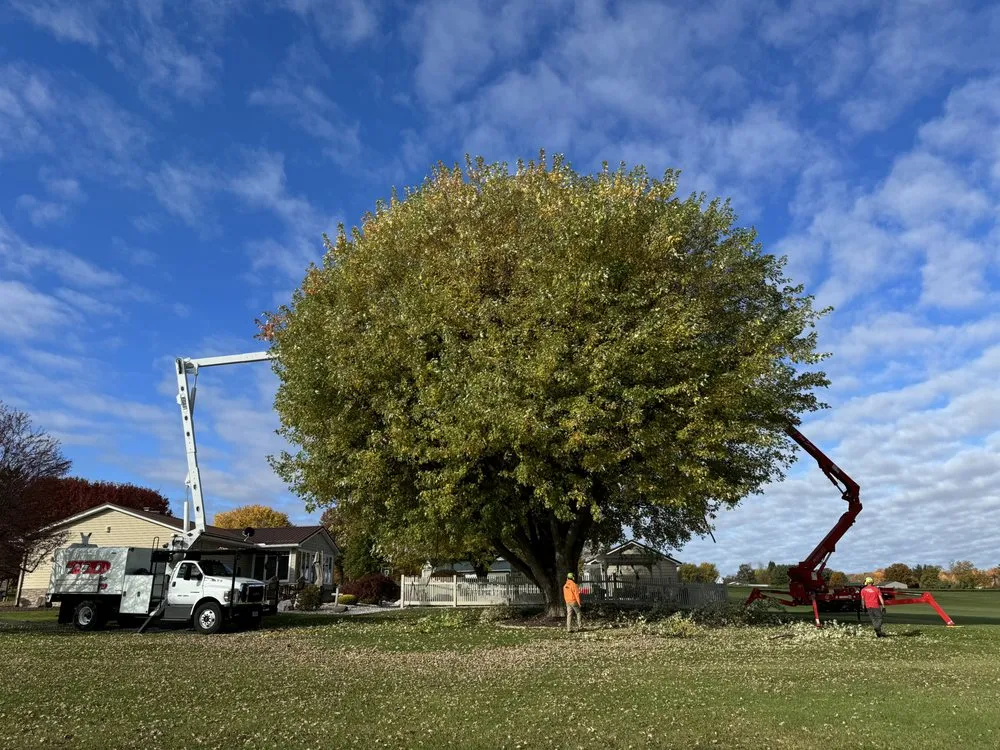 Custom lawn mowing service for beautiful yards in Hubbard, OH by T&D Tree Service