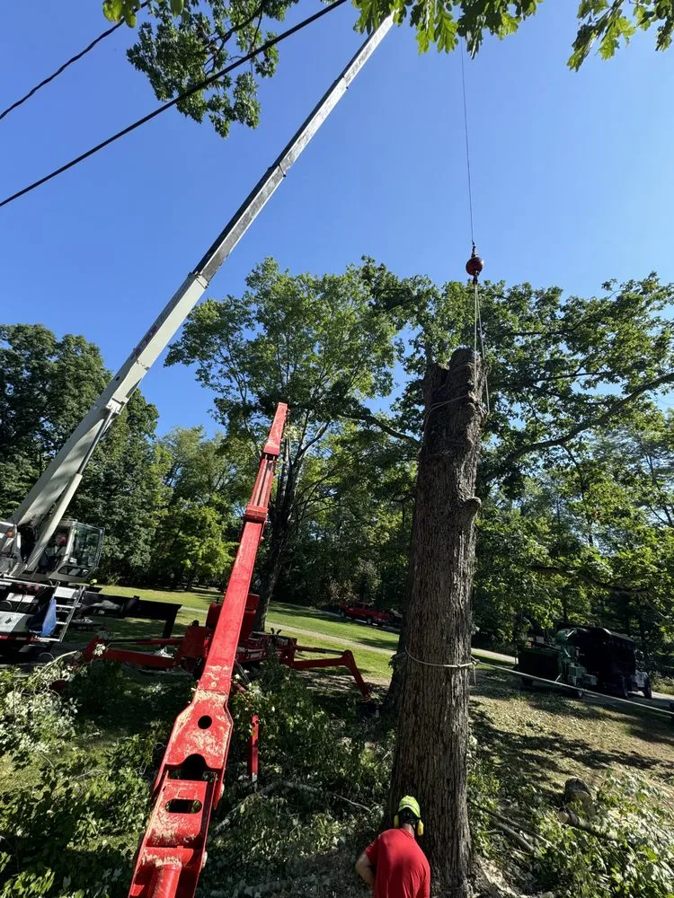 Custom garden landscaping for homes in Hubbard, OH by T&D Tree Service