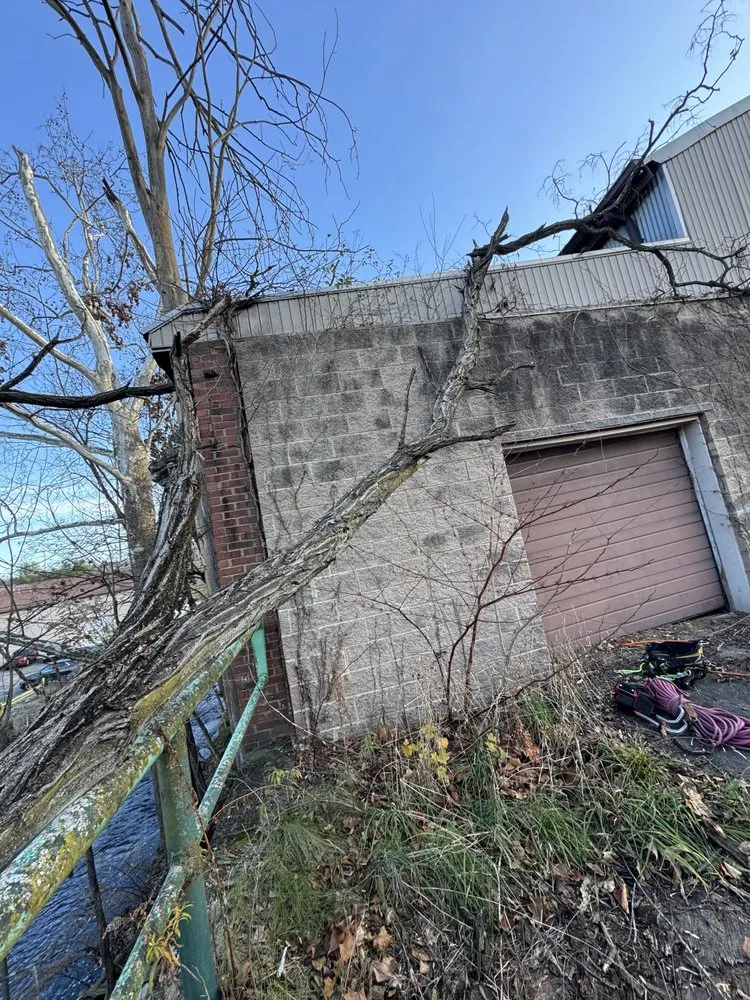 Affordable garden landscaping in Hubbard, OH - T&D Tree Service