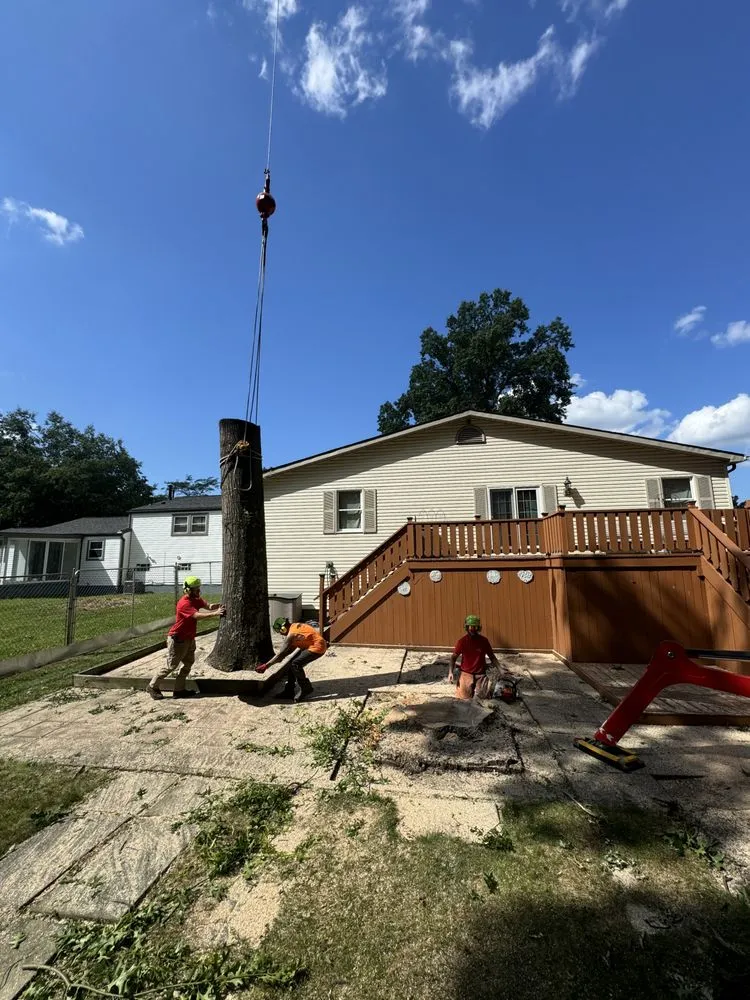 Professional lawn mowing service for year-round maintenance across Hubbard, OH - T&D Tree Service