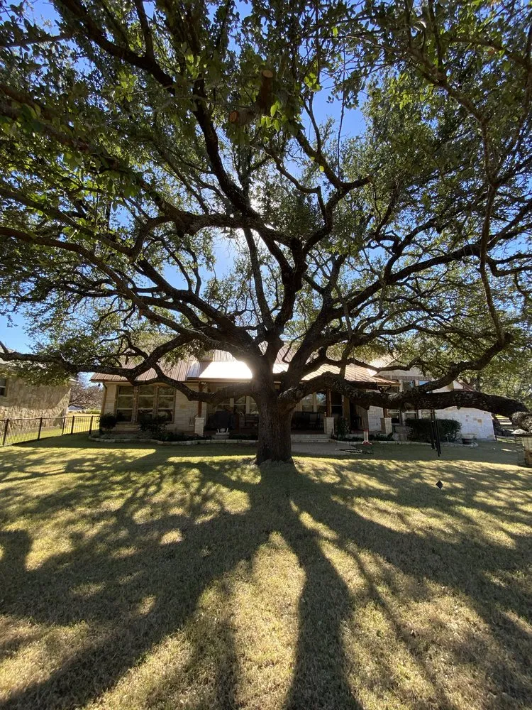 Top-rated landscape design for year-round maintenance across Kingsland, TX - TD Trees