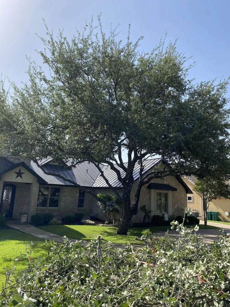 Affordable landscape installation in Kingsland, TX - TD Trees