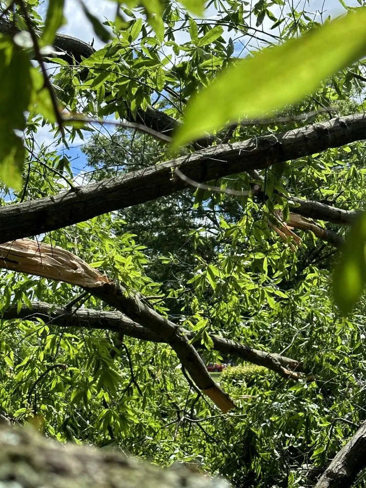 Trusted outdoor landscaping experts serving Taylorsville, NC - TD&A grading and landscaping