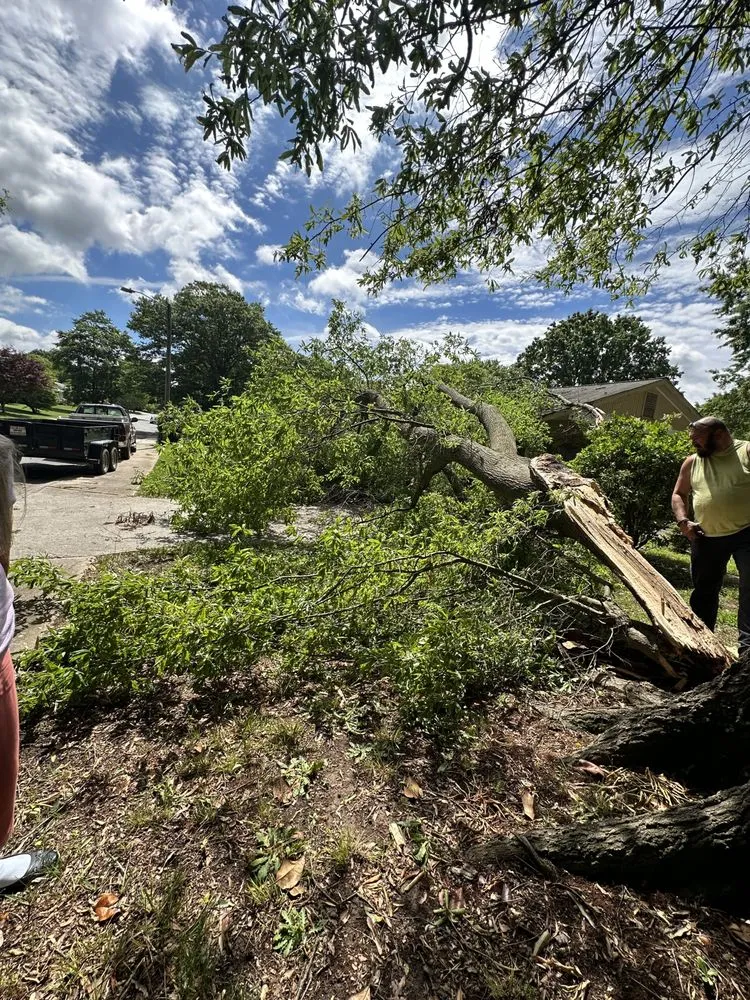 Trusted lawn care service with custom design across Taylorsville, NC - TD&A grading and landscaping