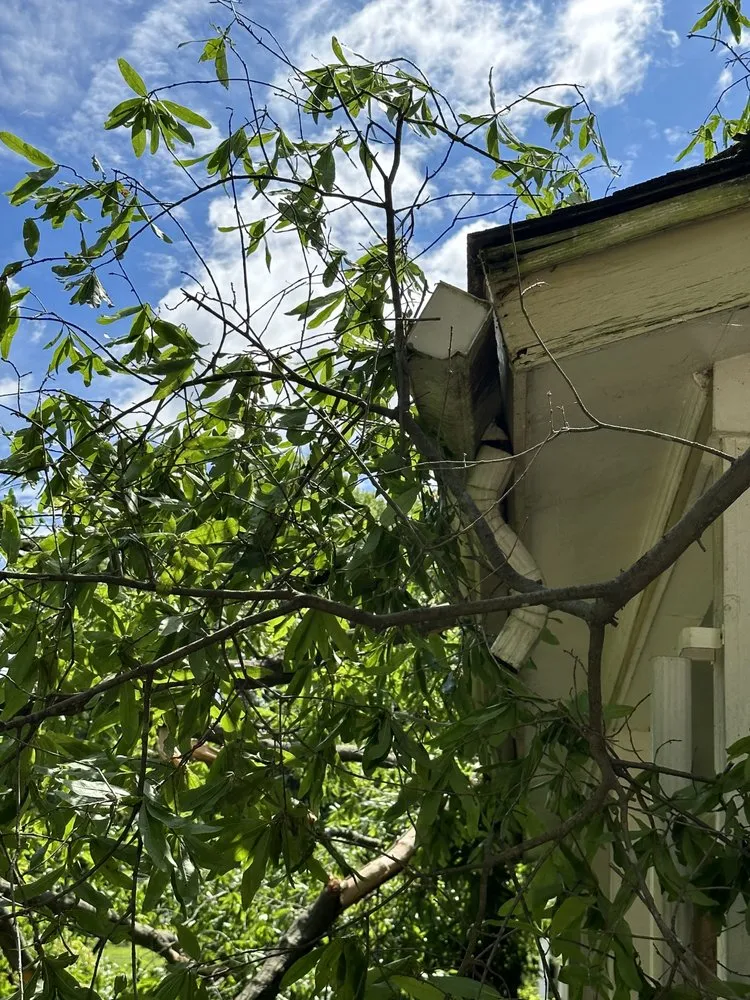 Trusted lawn care service experts serving Taylorsville, NC - TD&A grading and landscaping