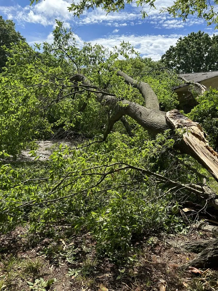Affordable landscape design for outdoor upgrades in Taylorsville, NC by TD&A grading and landscaping